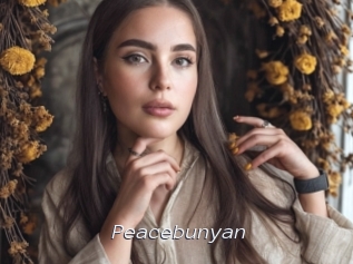 Peacebunyan