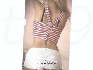 Pelusa