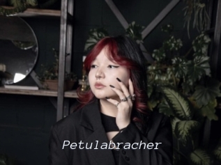 Petulabracher