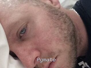 Pgmate