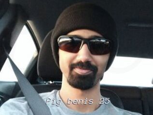 Pig_benis_25