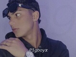 Pigboyx