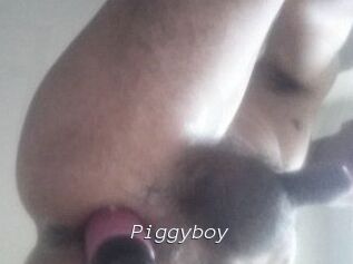Piggyboy