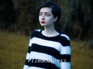 Pileacadieri