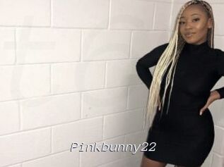 Pinkbunny22