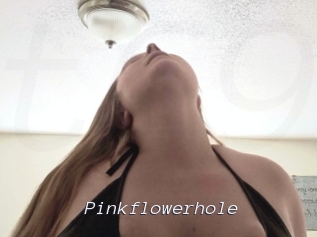 Pinkflowerhole