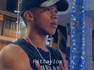 pittaylor Tel 69 Salopes