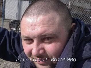 Pituliciul-06105006