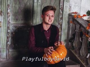 Playfulboydavid