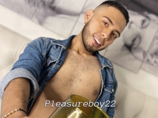 Pleasureboy22