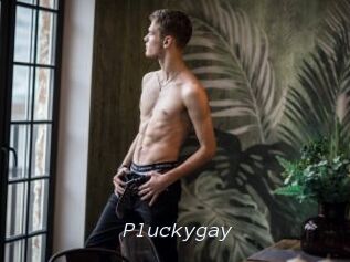 Pluckygay