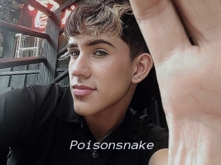 Poisonsnake