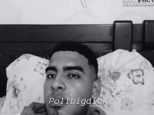 Pollbigdick