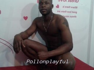 Pollonplayful