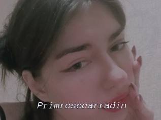 Primrosecarradin
