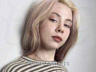Primrosehiatt