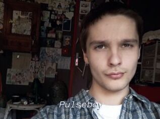 Pulseboy