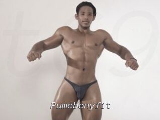 Pumebonyfit