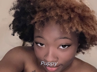 Puppy