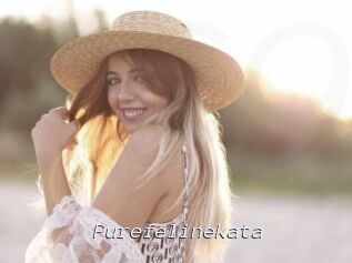 Purefelinekata