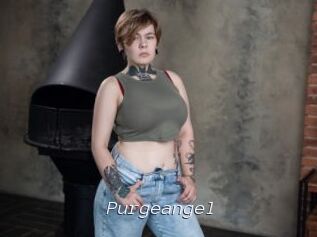 Purgeangel