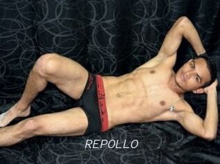 REPOLLO