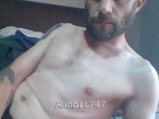 Rabbit747