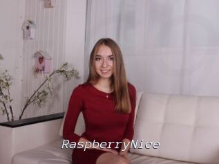 RaspberryNice