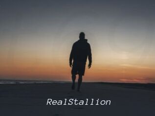 RealStallion