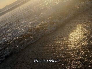 ReeseBoo