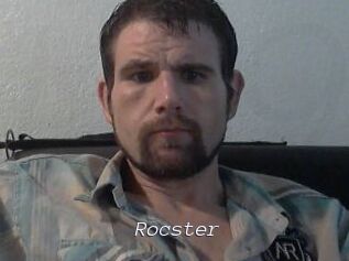 Rocster