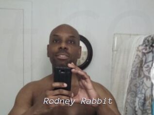 Rodney_Rabbit