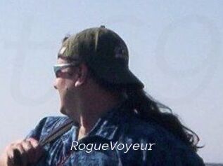 RogueVoyeur