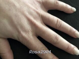 Rosa2904