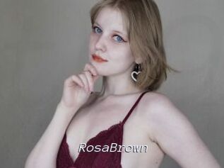 RosaBrown