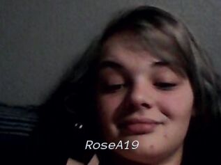 RoseA19