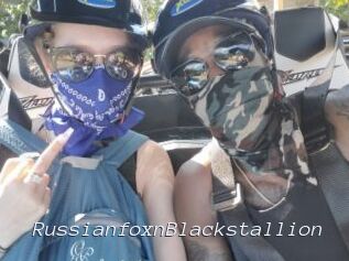 RussianfoxnBlackstallion