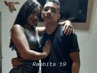Rabbits_19