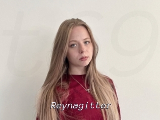 Reynagitter