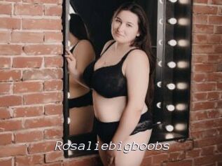 Rosaliebigboobs