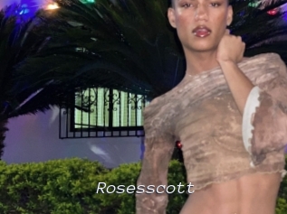 rosesscott Tel 69 Salopes
