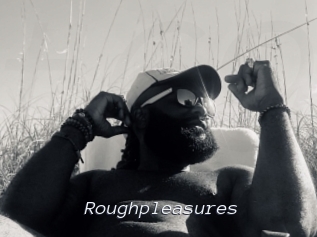Roughpleasures