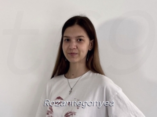 Rozannegonyea