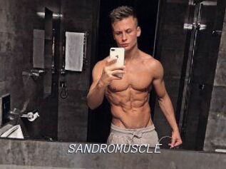 SANDRO_MUSCLE