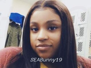 SEABunny19