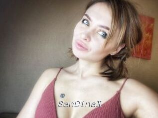 SanDinaX