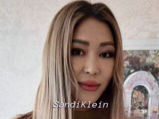 SandiKlein