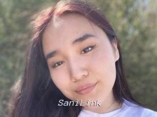 SaniLink
