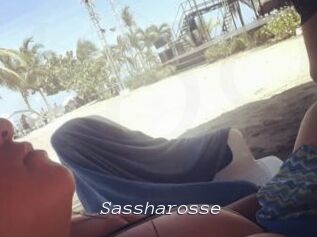 Sassharosse
