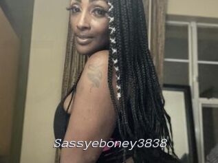 Sassyeboney3838